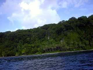 Vegetation in the Cape of Gatokae Island