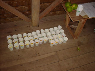 Collected urine cups at Mbiche