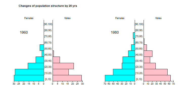 Two population pyramids from the small scale population's individual data