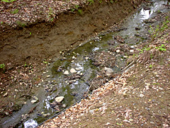 Dirty stream in the Sho-wa no mori park