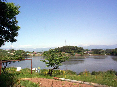 Tago pond, Nagano city, May 30th ,1999